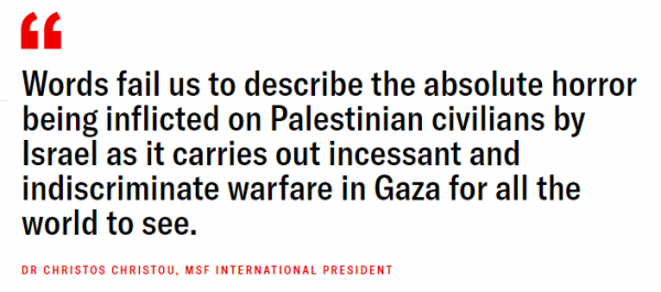 Gaza: “It must all stop now.” Letter to UN Security Council